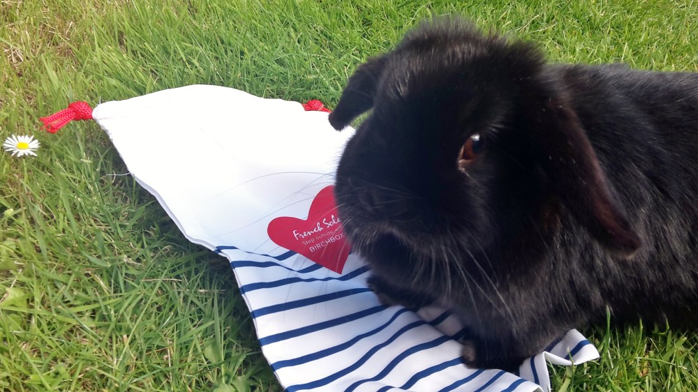 Truffles the rabbit with French Sole shoe bag for June 2015 Birchbox