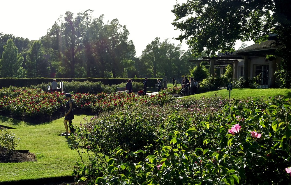 Preston Park, Brighton