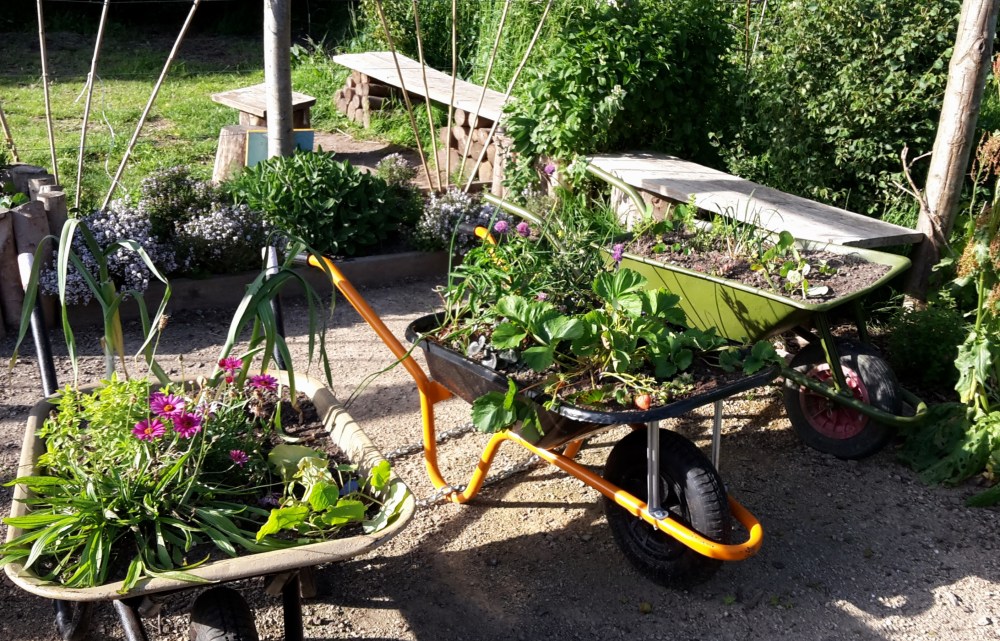 Community garden at Preston Park, Brighton