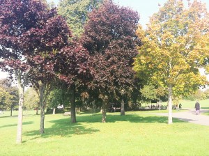 Preston Park, Brighton