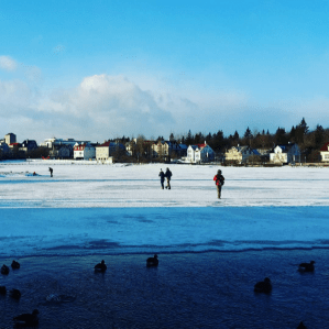 Frozen pond in Reykjavik 101
