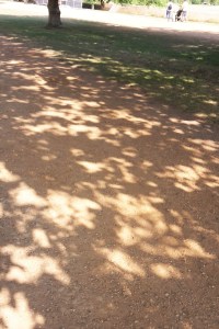 Dappled light in Oxford