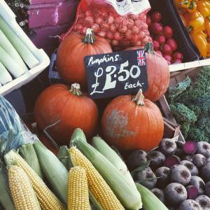 Pumpkins in a greengrocers