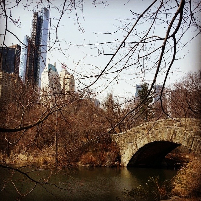 central park.jpg