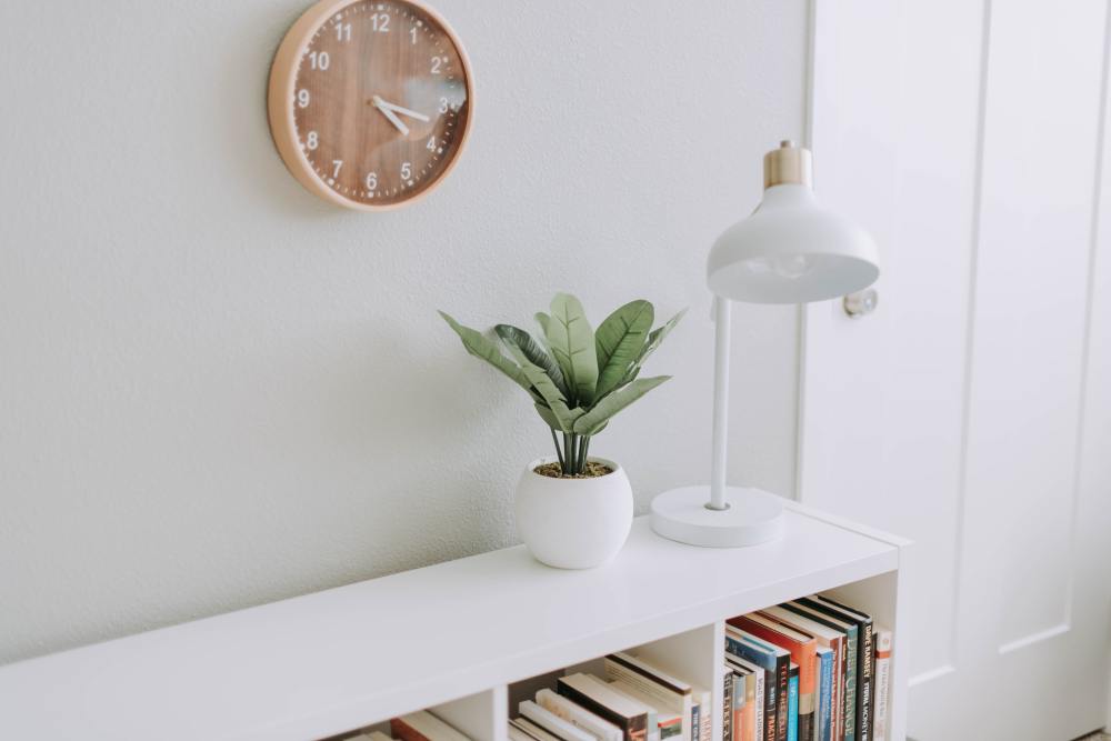 A plant and a lamp on a white bookcase
